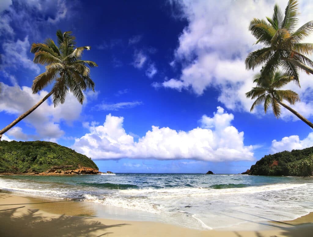 Beautifull beach in Dominica