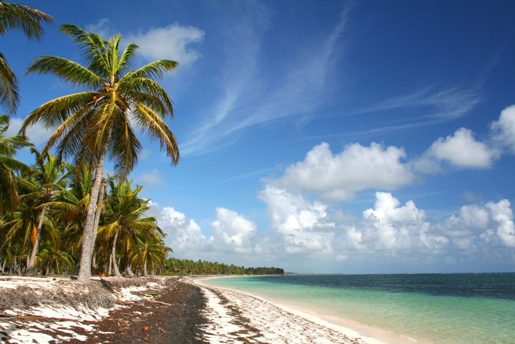 Deserted Caribbean Beach