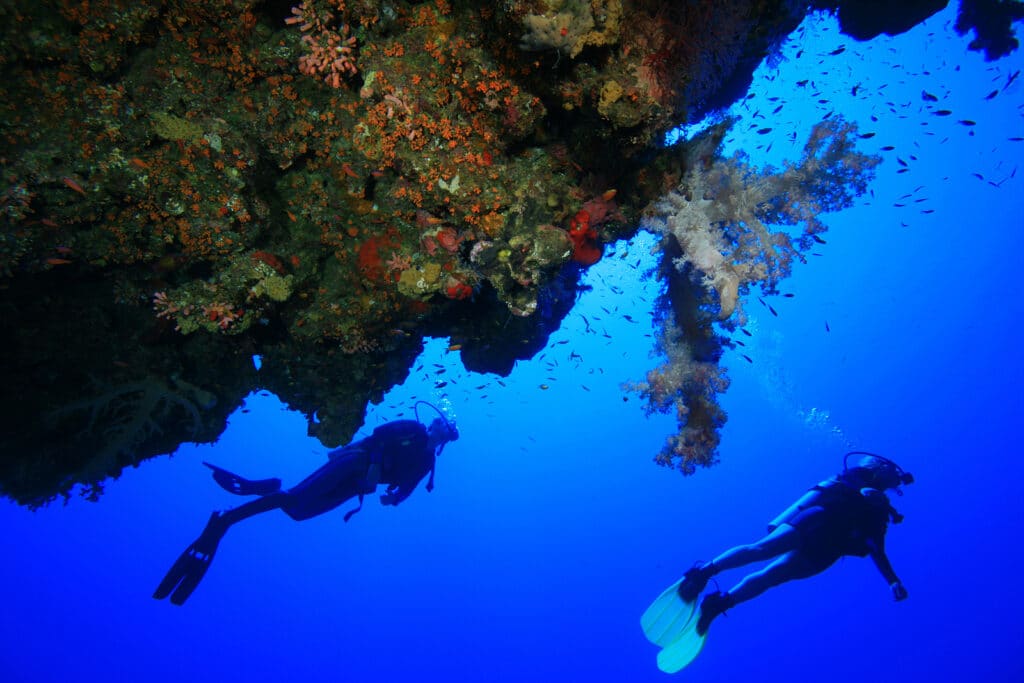 Scuba Diving in the Red Sea