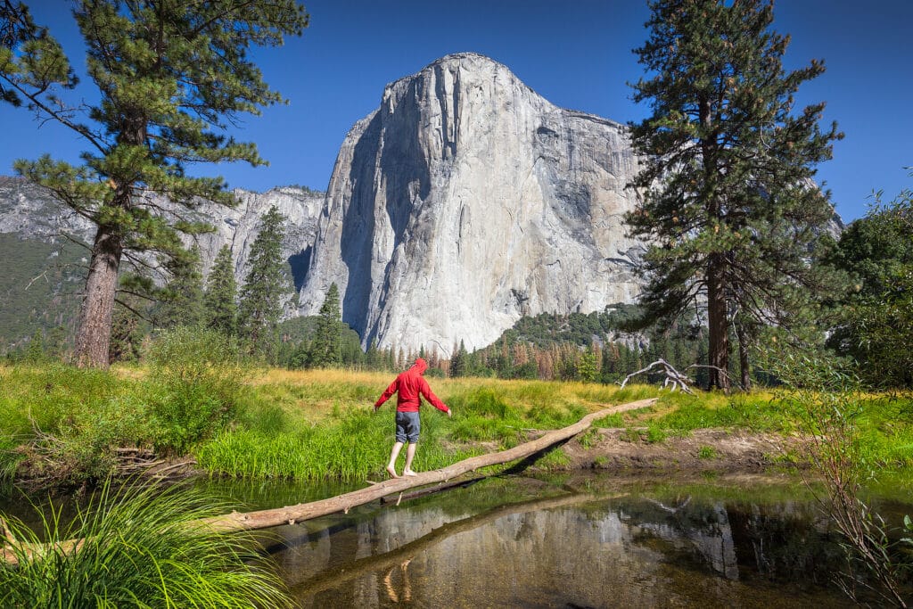 Young Hiker Balancing On A Tree In Front Of El Capitan, Yosemite